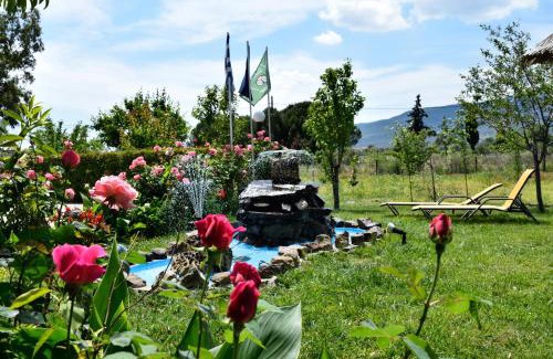 Skala Kallonis Apartment | Shine Studios