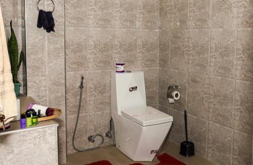 Ella House | Shining Green View