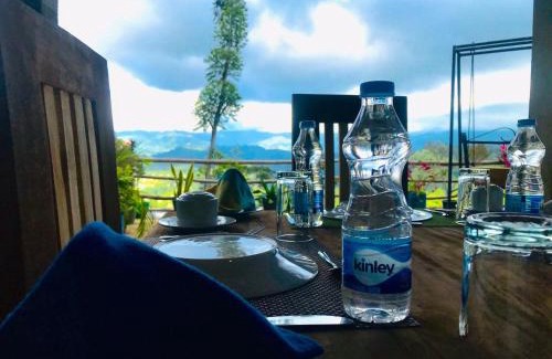 Ella House | Shining Green View