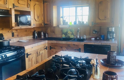 Mammoth Spring Cabin | Shipp's Landing-Cozy Secluded Retreat on the Water