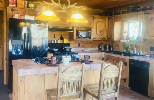 Mammoth Spring Cabin | Shipp's Landing-Cozy Secluded Retreat on the Water