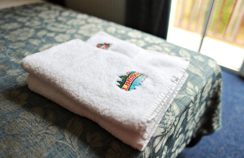 Razdolievskoe Hotel | Shishki na Lampushke - Casa de Campo