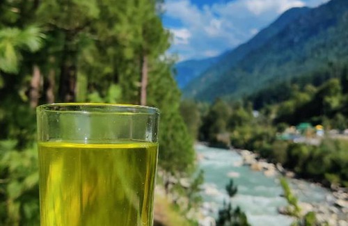 Kullu Bed & Breakfast | Shoolin LaMalana