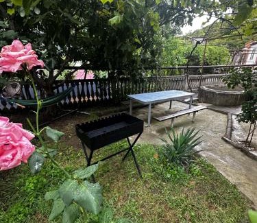 Borjomi House | Shota's Guest House