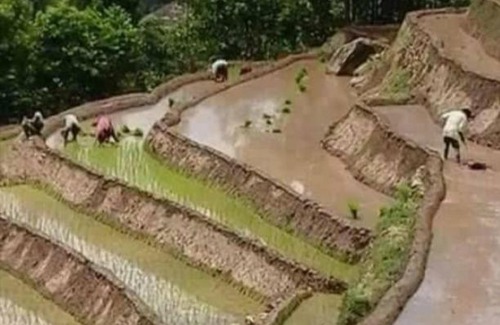 Digoti House | Shree hari gouri home stay