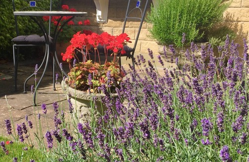 Beamish House | Shutters in Beamish 5* open-plan living, private garden, 5 min to Beamish Museum