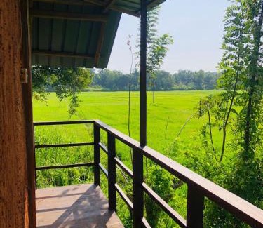 Sigiriya Cabin | Sigiriya Paddy Field Hut