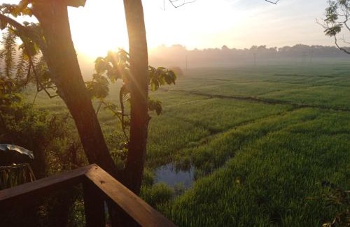 Sigiriya Cabin | Sigiriya Paddy Field Hut