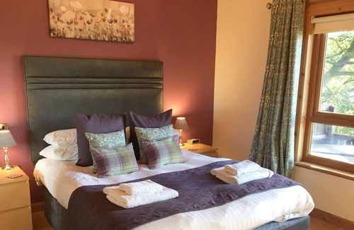 Cupar House | Silver Birch Lodge with Hot Tub near Cupar, Fife