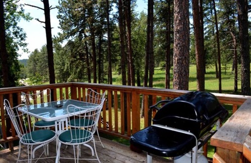 Rapid City Cabin | Silver Lining Cabin in the Black Hills near Mount Rushmore