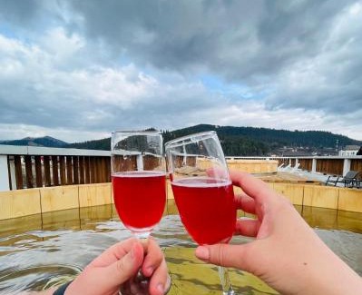 Gura Humorului House | Sim House