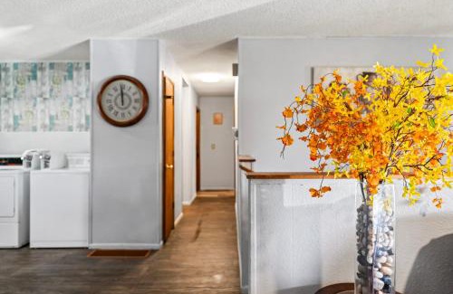 Russian Jack Park House | Simple And Orange Deluxe