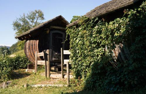 Spital am Pyhrn House | Singerskogel - Ferienhof und Jausnstub`n