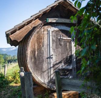 Spital am Pyhrn House | Singerskogel - Ferienhof und Jausnstub`n