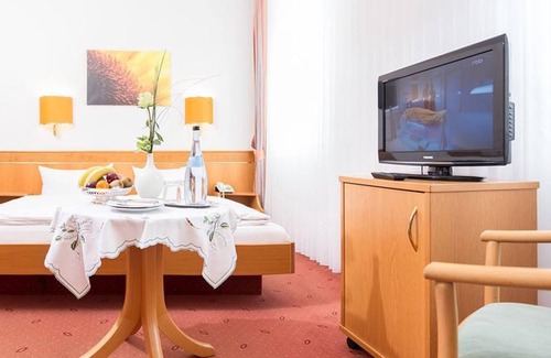 Bad Bergzabern House | Single room EXCLUSIVE - Hotel Palatinate Forest