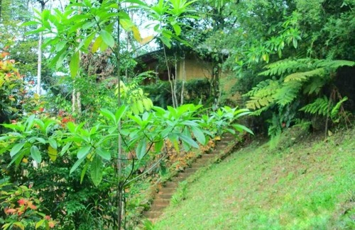 Nelluwa Cabin | Sinharaja Eco Lodge