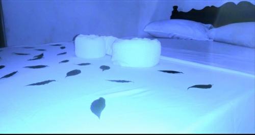 Kotapola House | Sinharaja Greenvilla