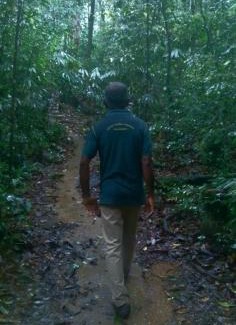 Kotapola House | Sinharaja Greenvilla