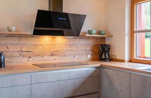 Saalfelden am Steinernen Meer Apartment | Sion 3