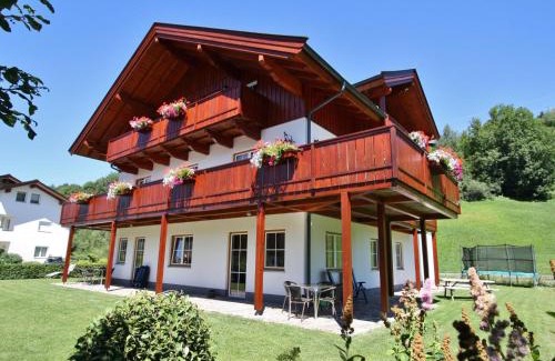 Saalfelden am Steinernen Meer Apartment | Sion 4