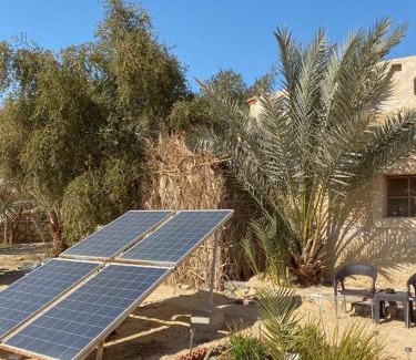 Siwa Resort | Siwa Desert Home