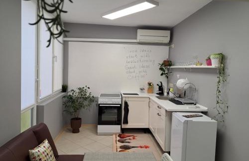 Ruse Center Apartment | SixtyShips Ruse Center