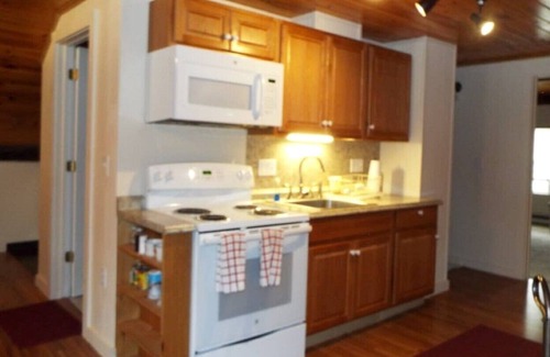 Olmstedville Apartment | Ski, Hike. Fish. Enjoy thr Adirondacks I