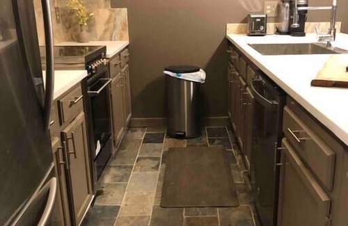 Angel Fire Condo | Ski in/out Stunning remodeled 1/1 ground floor