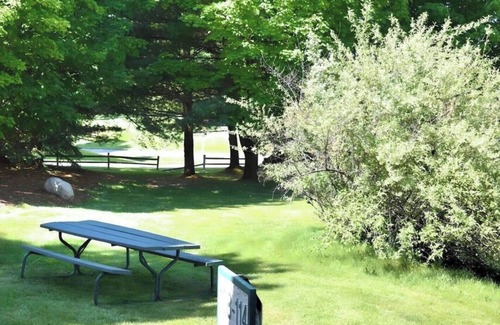 Bellaire Condo | Ski Lodge w Pool/HotTub/Golf & Beach Club Access!