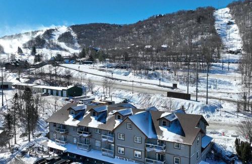 Beech Mountain Apartment | Ski Resort Backyard Walk to Lifts Brewery Coffee