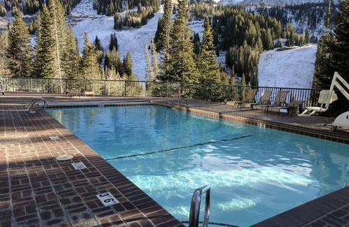 Salt Lake Mountain Resorts Condo | Ski Snowbird! Iron Blosam Efficiency Unit - Across the Street from Wilbere Lift