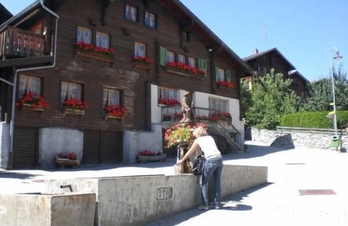 Eischoll Apartment | Ski & Snowsports in Winter, Alpine Walking in Summer, Beautiful Alpine Village