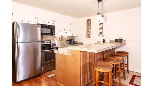 Red River Apartment | Ski View 09 Southern Comfort - On Main Street - WiFi - Cable - Fireplace - Trailer Parking In Back - Patio with Gas Grill