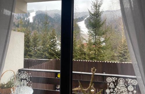 Azuga Apartment | Ski View Studio - near the ski slopes