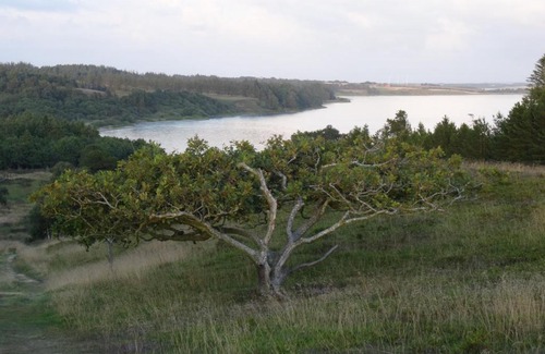 Sønder Ydby House | Skibstedborg - naturhytte i Thy