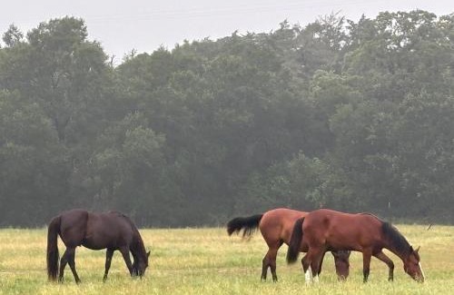 Round Top House | Skull Creek Ranch Cotton Gin II