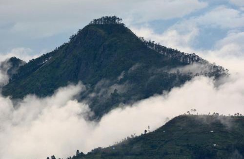 Kodaikanal Villa | Sky High Villa Annex