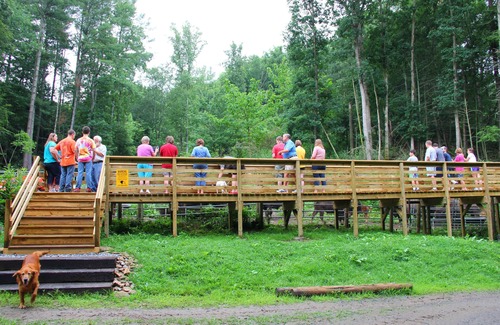 Clyde Cabin | 🚂 Sleep in a caboose on a bison ranch: Seaboard Coast Line #0843