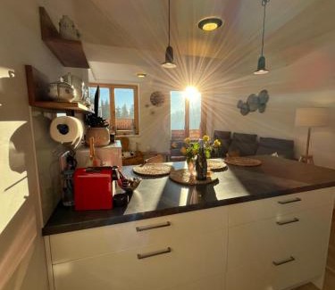 Cerny Dul Apartment | Slunečný apartmán