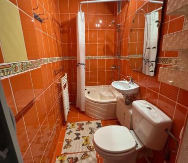 Hunedoara Apartment | Small apartment in Hunedoara