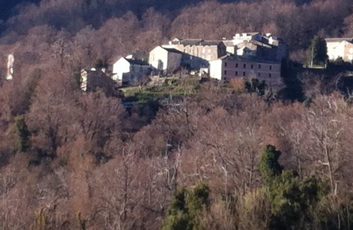 Felce House | Small house in the mountains in the heart of the chestnut grove in a village