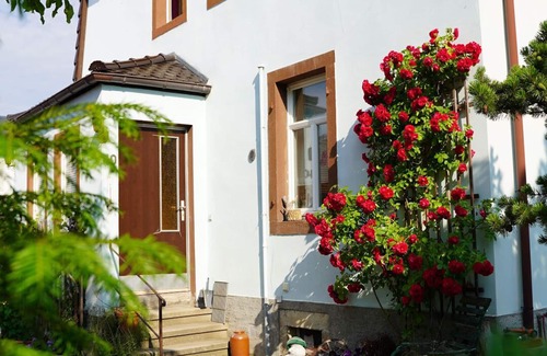 Oberloßnitz Apartment | small oasis in Radebeul (for 4 persons)