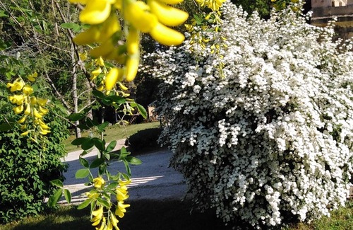 Gourdon House | Small traditional stone house, independent and on one level