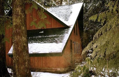 Zigzag Cabin | Snow Drift Cabin Hottub Wifi Dogs welcome