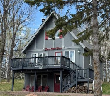 Bessemer House | Snow Otter Haus