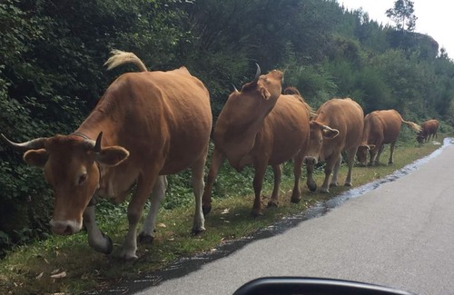 Soajo Apartment | Soajo-The Most Beautiful Area of Gerês 2