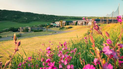 Bolberry Hotel | Soar Mill Cove Hotel