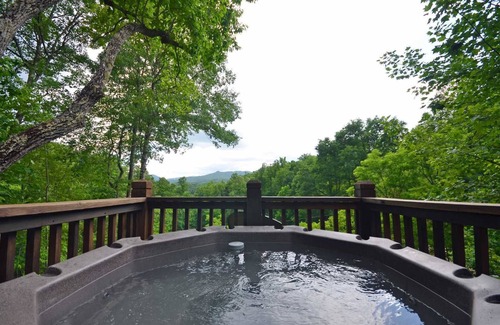 Bryson City Cabin | Soaring Eagle 1 Bedroom Cabin by Redawning