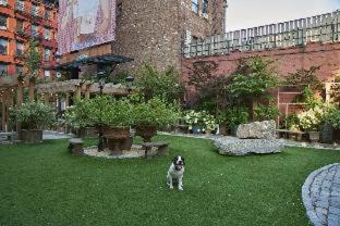 SoHo Hotel | Soho Grand Hotel