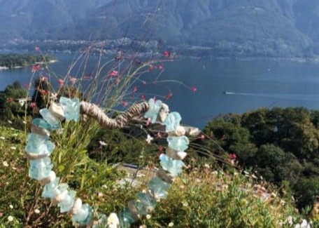 Ascona Apartment | Sollevante Ascona mit Pool und fantastischem Seesicht